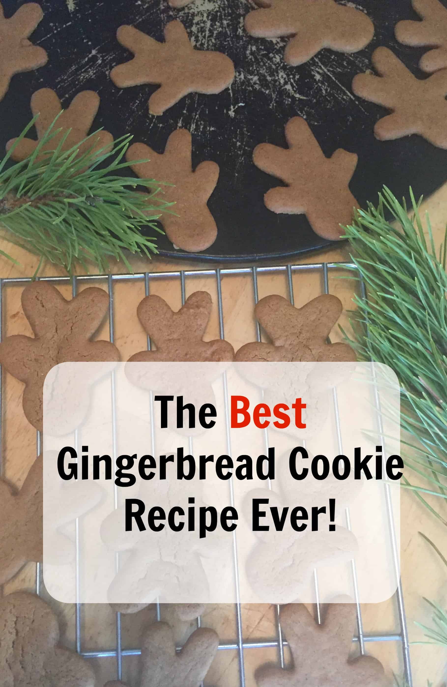 The Best gingerbread Cookie recipe ever!